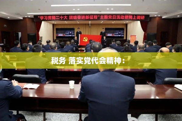 税务 落实党代会精神： 