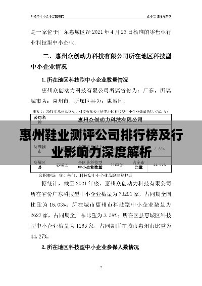 惠州鞋业测评公司排行榜及行业影响力深度解析