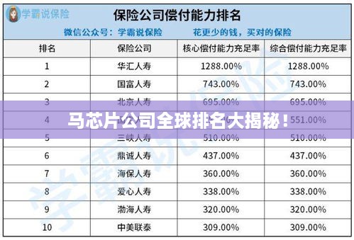 马芯片公司全球排名大揭秘！