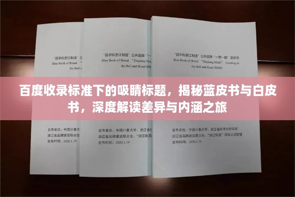 百度收录标准下的吸睛标题，揭秘蓝皮书与白皮书，深度解读差异与内涵之旅