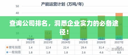 查询公司排名，洞悉企业实力的必备途径！