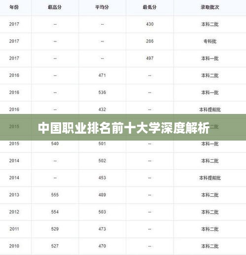 中国职业排名前十大学深度解析