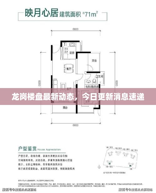 龙岗楼盘最新动态，今日更新消息速递