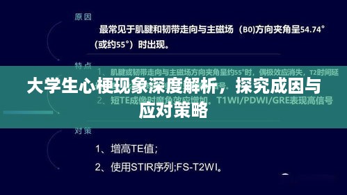 大学生心梗现象深度解析，探究成因与应对策略