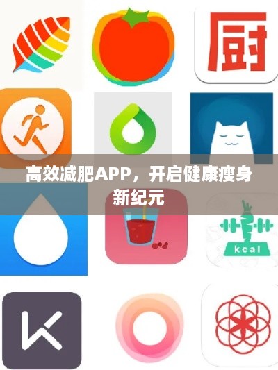 高效减肥APP，开启健康瘦身新纪元