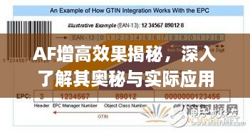 AF增高效果揭秘，深入了解其奥秘与实际应用