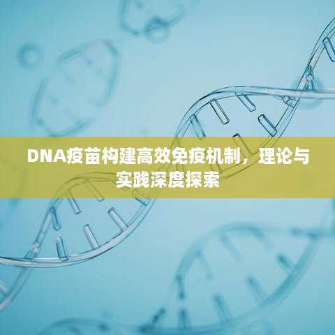 DNA疫苗构建高效免疫机制，理论与实践深度探索