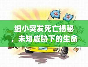 细小突发死亡揭秘，未知威胁下的生命警钟长鸣