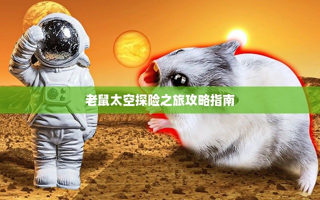 老鼠太空探险之旅攻略指南