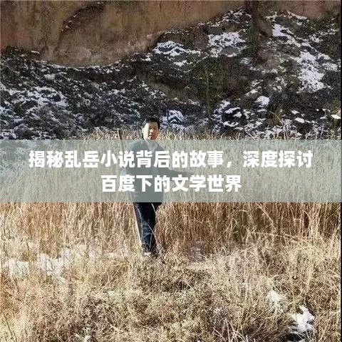 揭秘乱岳小说背后的故事，深度探讨百度下的文学世界