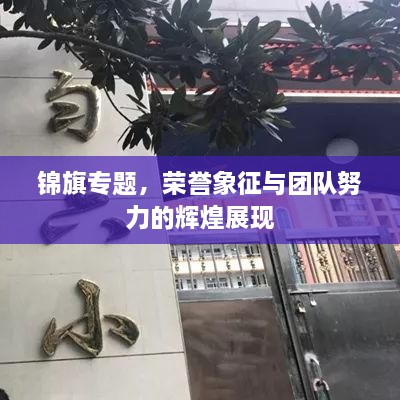 锦旗专题，荣誉象征与团队努力的辉煌展现