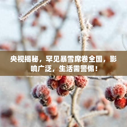 央视揭秘，罕见暴雪席卷全国，影响广泛，生活需警惕！