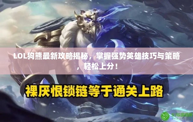 LOL狗熊最新攻略揭秘，掌握强势英雄技巧与策略，轻松上分！