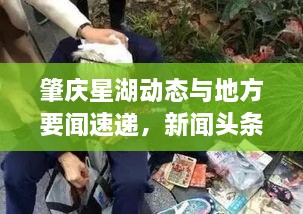 肇庆星湖动态与地方要闻速递，新闻头条一网打尽