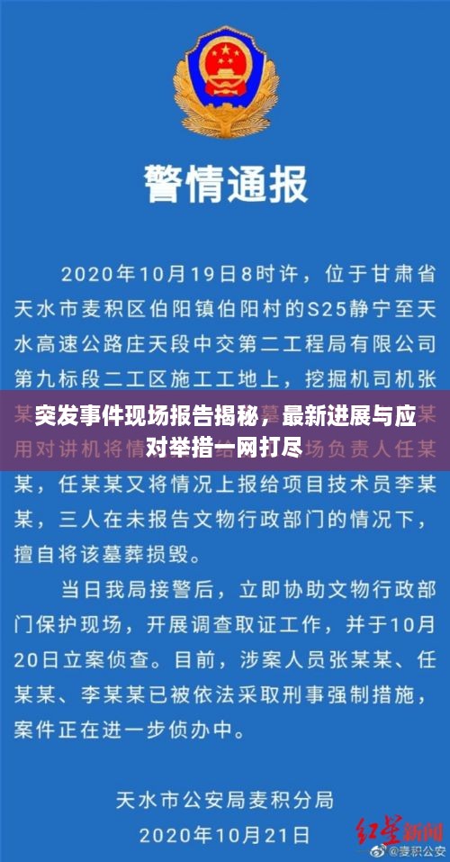 突发事件现场报告揭秘，最新进展与应对举措一网打尽