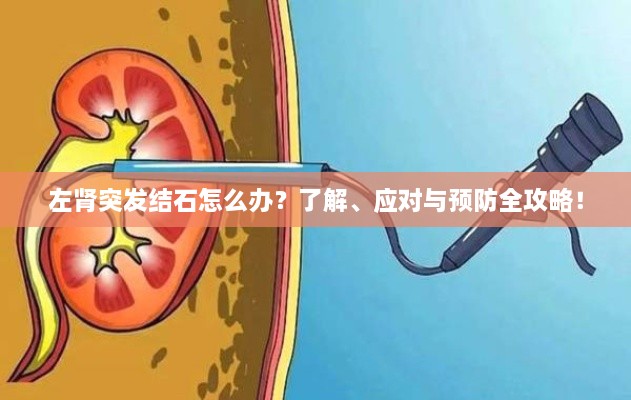 左肾突发结石怎么办？了解、应对与预防全攻略！