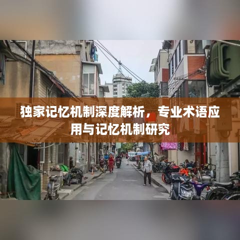 独家记忆机制深度解析，专业术语应用与记忆机制研究