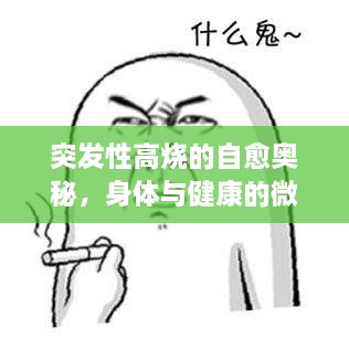 突发性高烧的自愈奥秘，身体与健康的微妙平衡探究