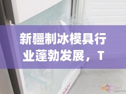 新疆制冰模具行业蓬勃发展，TOP10排名深度解析