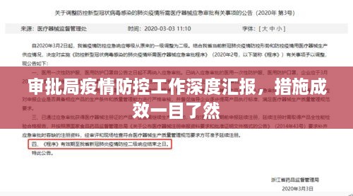 审批局疫情防控工作深度汇报，措施成效一目了然