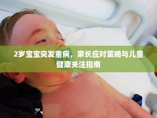 2岁宝宝突发重病，家长应对策略与儿童健康关注指南