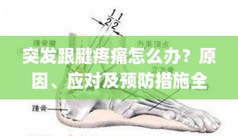 突发跟腱疼痛怎么办？原因、应对及预防措施全解析