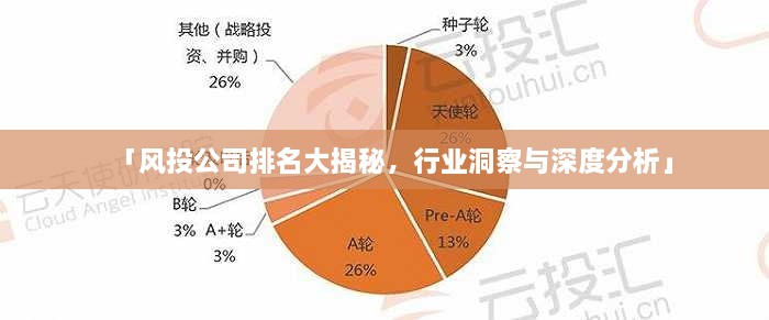 「风投公司排名大揭秘，行业洞察与深度分析」