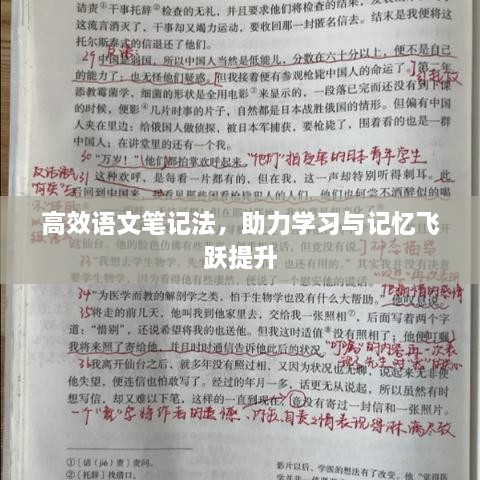 高效语文笔记法，助力学习与记忆飞跃提升