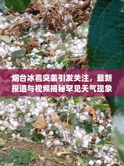 烟台冰雹突袭引发关注，最新报道与视频揭秘罕见天气现象