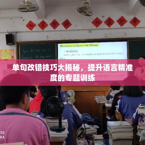 单句改错技巧大揭秘，提升语言精准度的专题训练