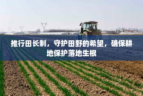 推行田长制，守护田野的希望，确保耕地保护落地生根