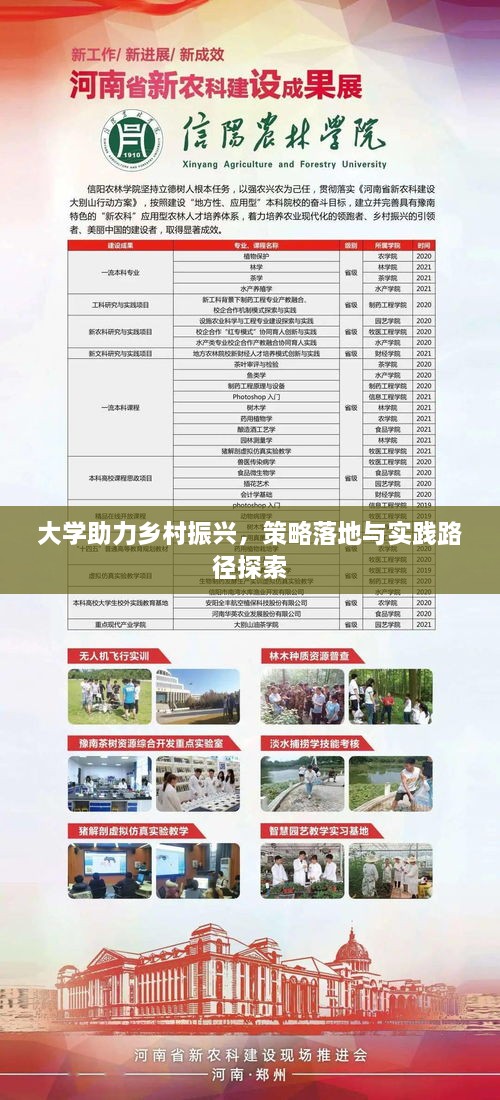 大学助力乡村振兴，策略落地与实践路径探索
