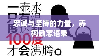 忠诚与坚持的力量，养狗励志语录