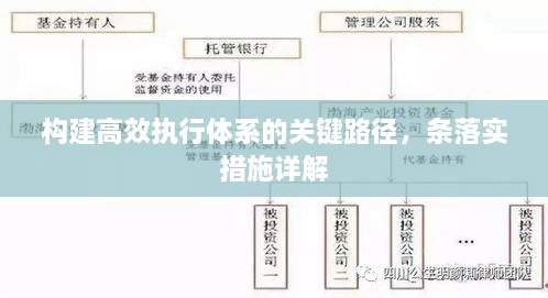 构建高效执行体系的关键路径，条落实措施详解