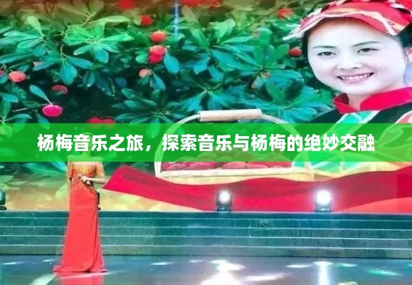 杨梅音乐之旅，探索音乐与杨梅的绝妙交融