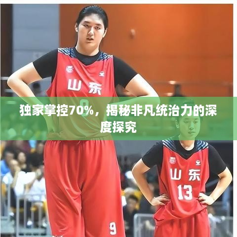 独家掌控70%，揭秘非凡统治力的深度探究