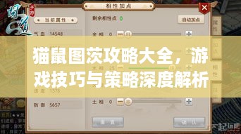 猫鼠图茨攻略大全，游戏技巧与策略深度解析