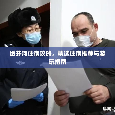 互动