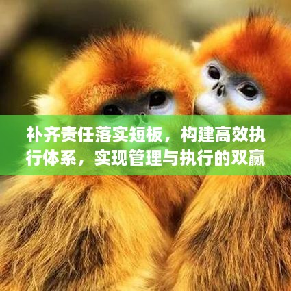 补齐责任落实短板，构建高效执行体系，实现管理与执行的双赢