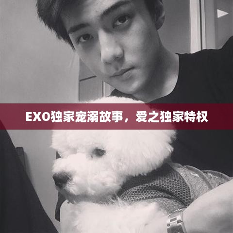 EXO独家宠溺故事，爱之独家特权