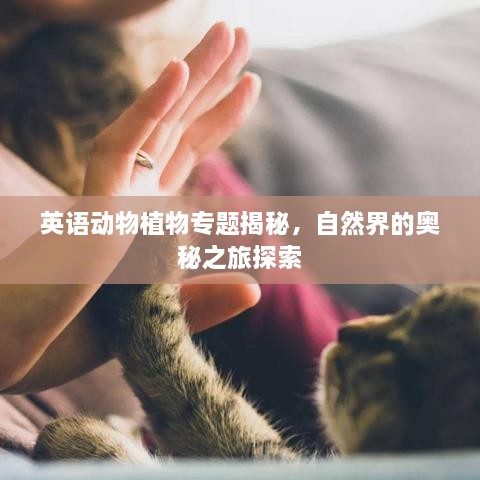 英语动物植物专题揭秘，自然界的奥秘之旅探索