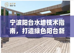 宁波阳台水培技术指南，打造绿色阳台新标准