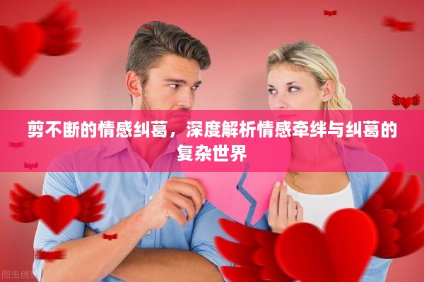 剪不断的情感纠葛，深度解析情感牵绊与纠葛的复杂世界